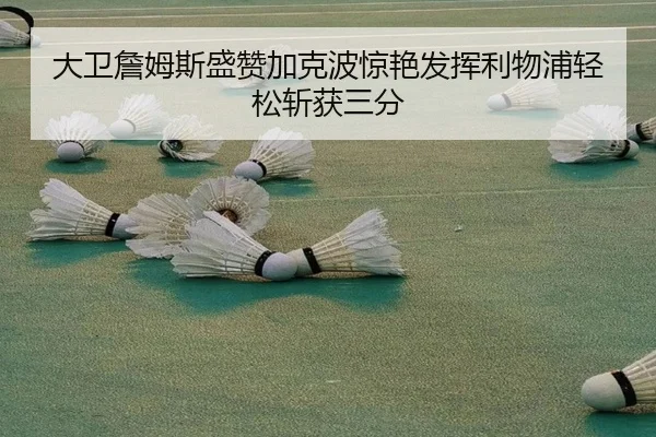 大卫詹姆斯盛赞加克波惊艳发挥利物浦轻松斩获三分